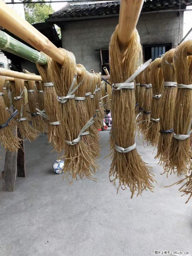 【灌阳正宗红薯粉】美女家里自己做的，干净卫生，假一赔十，价格合理，抢购电话：13737312895 - 美食天地 - 中卫生活社区 - 中卫28生活网 zw.28life.net