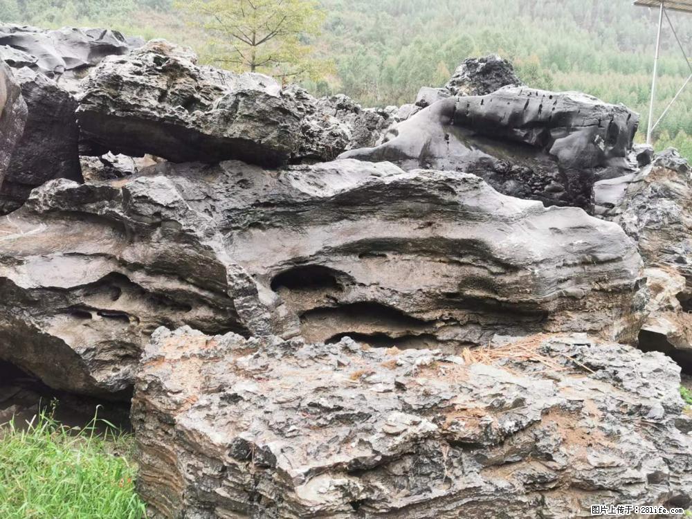 风景石、假山石大量有货，有需要的欢迎联系 - 新手上路 - 中卫生活社区 - 中卫28生活网 zw.28life.net