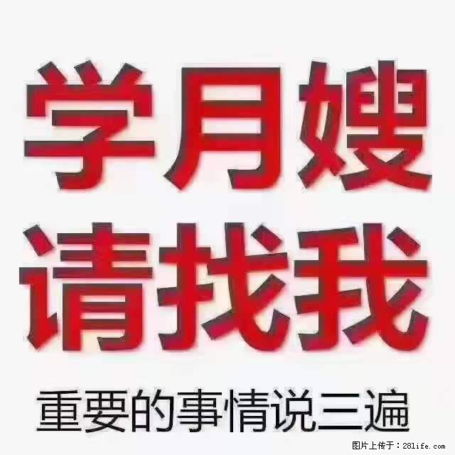 为什么要学习月嫂，育婴师？ - 其他广告 - 广告专区 - 中卫分类信息 - 中卫28生活网 zw.28life.net