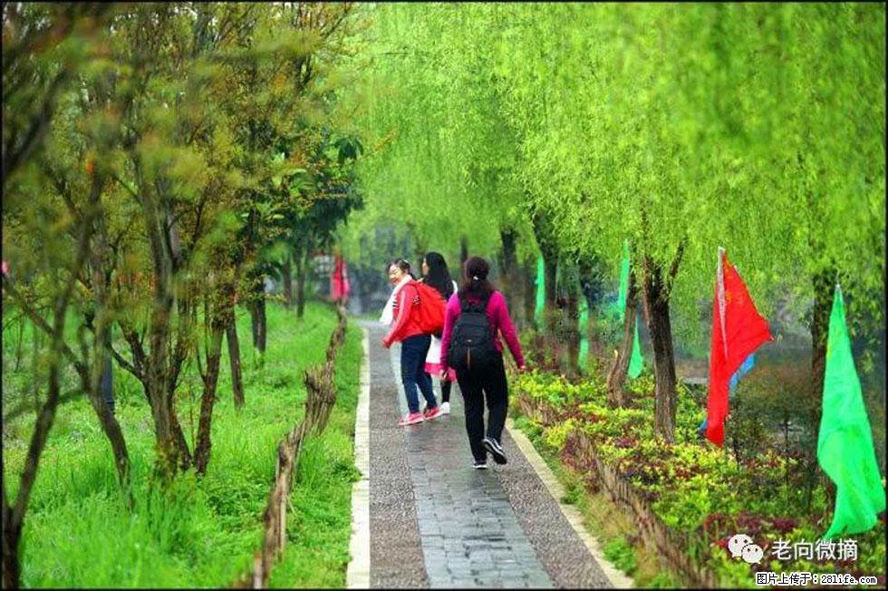 【春天，广西桂林灌阳县向您发出邀请！】江口老街又逢春 - 游山玩水 - 中卫生活社区 - 中卫28生活网 zw.28life.net