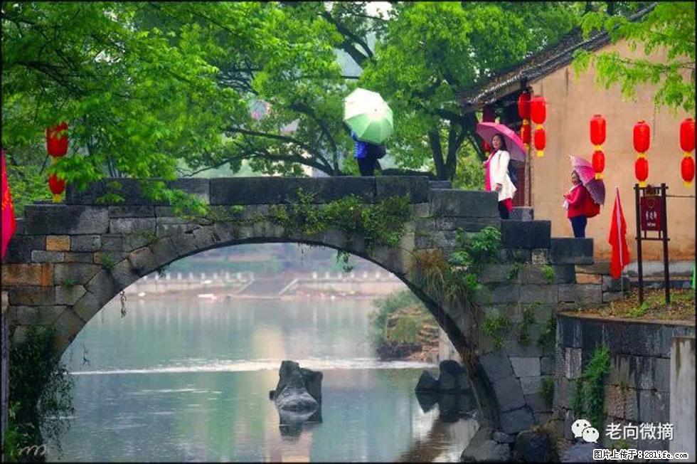 【春天，广西桂林灌阳县向您发出邀请！】江口老街又逢春 - 游山玩水 - 中卫生活社区 - 中卫28生活网 zw.28life.net
