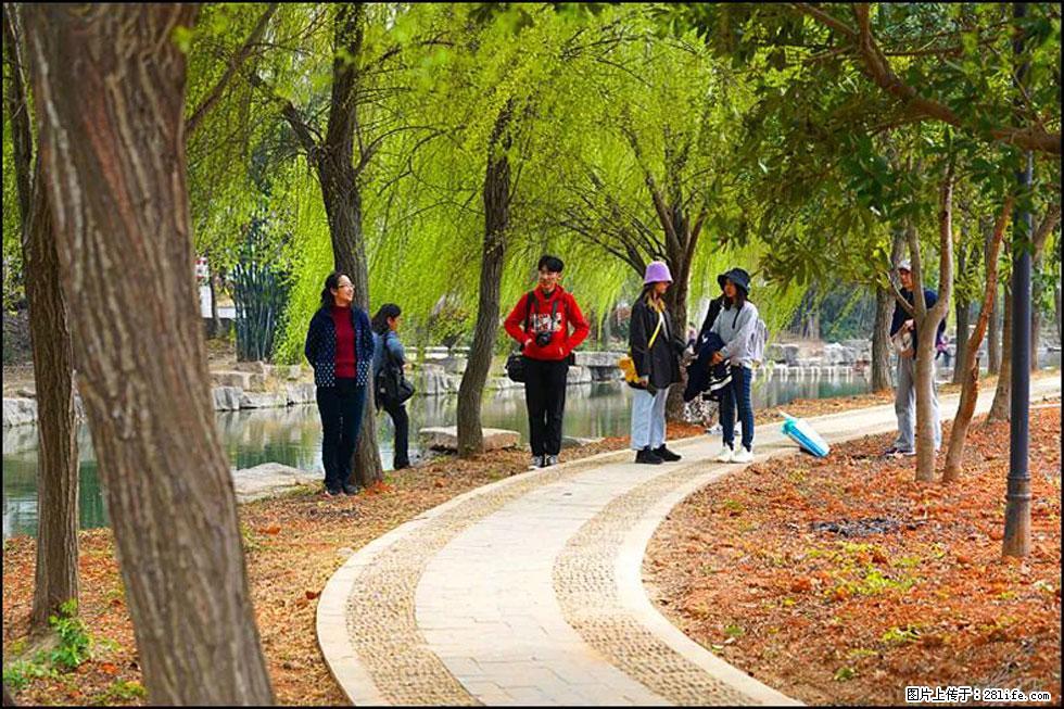 【春天，广西桂林灌阳县向您发出邀请！】江口老街又逢春 - 游山玩水 - 中卫生活社区 - 中卫28生活网 zw.28life.net