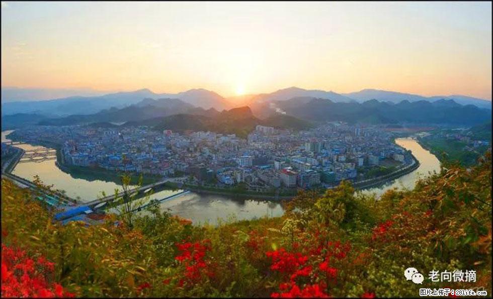 【春天，广西桂林灌阳县向您发出邀请！】登麒麟山，相约映山红 - 游山玩水 - 中卫生活社区 - 中卫28生活网 zw.28life.net