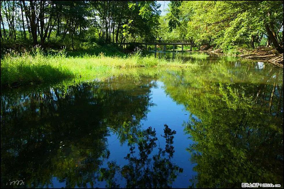【春天，广西桂林灌阳县向您发出邀请！】熊家寨湿地公园 - 游山玩水 - 中卫生活社区 - 中卫28生活网 zw.28life.net