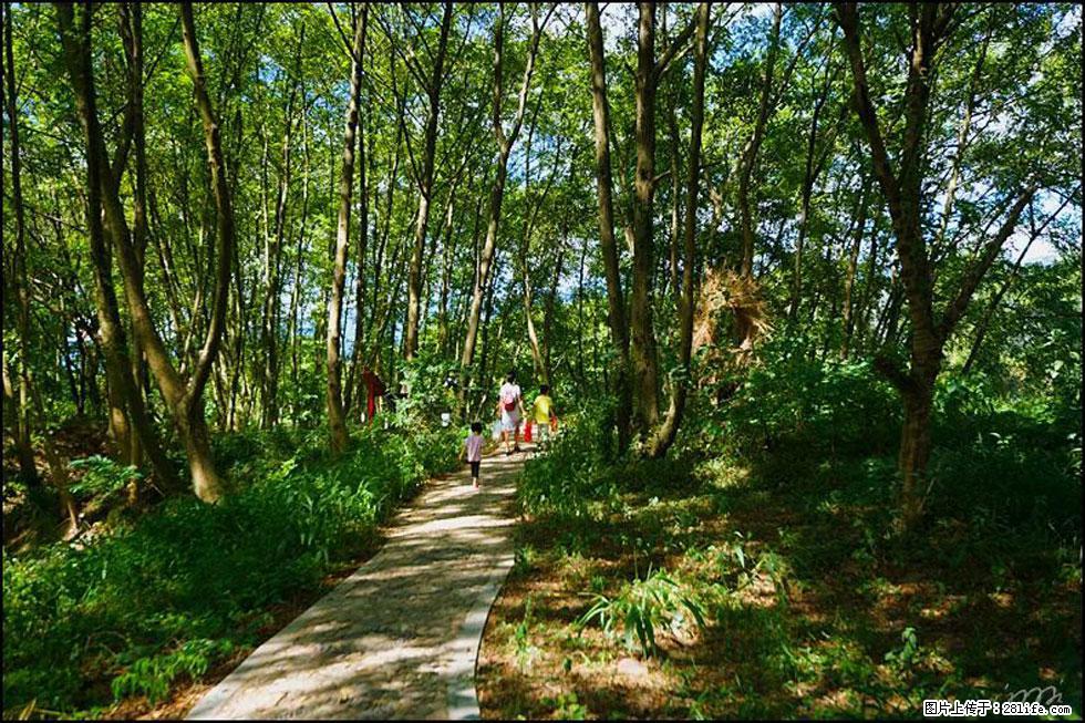 【春天，广西桂林灌阳县向您发出邀请！】熊家寨湿地公园 - 游山玩水 - 中卫生活社区 - 中卫28生活网 zw.28life.net