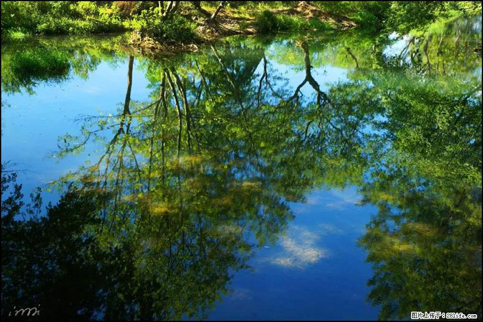 【春天，广西桂林灌阳县向您发出邀请！】熊家寨湿地公园 - 游山玩水 - 中卫生活社区 - 中卫28生活网 zw.28life.net
