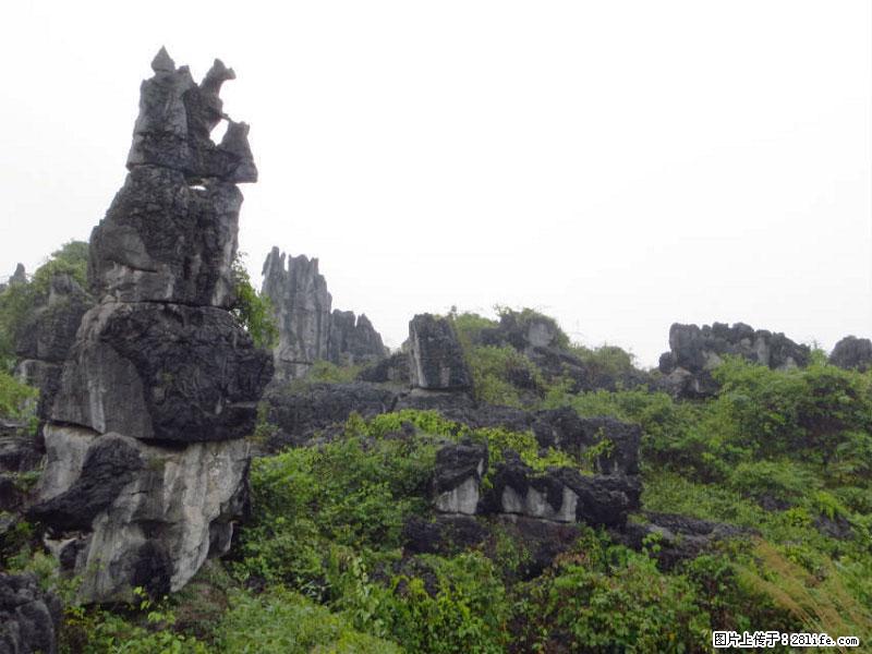桂林旅游名城景点：灌阳文市石林 - 游山玩水 - 中卫生活社区 - 中卫28生活网 zw.28life.net
