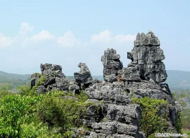 桂林旅游名城景点：灌阳文市石林 - 游山玩水 - 中卫生活社区 - 中卫28生活网 zw.28life.net