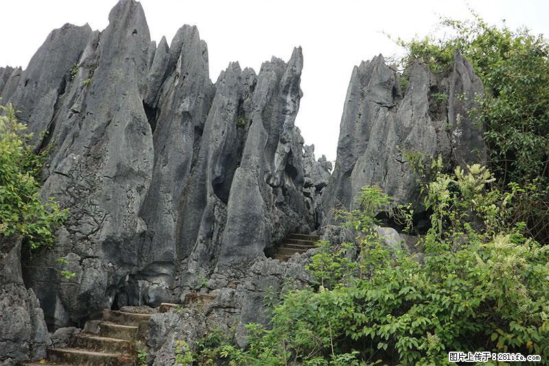 桂林旅游名城景点：灌阳文市石林 - 游山玩水 - 中卫生活社区 - 中卫28生活网 zw.28life.net