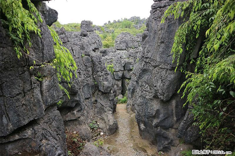 桂林旅游名城景点：灌阳文市石林 - 游山玩水 - 中卫生活社区 - 中卫28生活网 zw.28life.net
