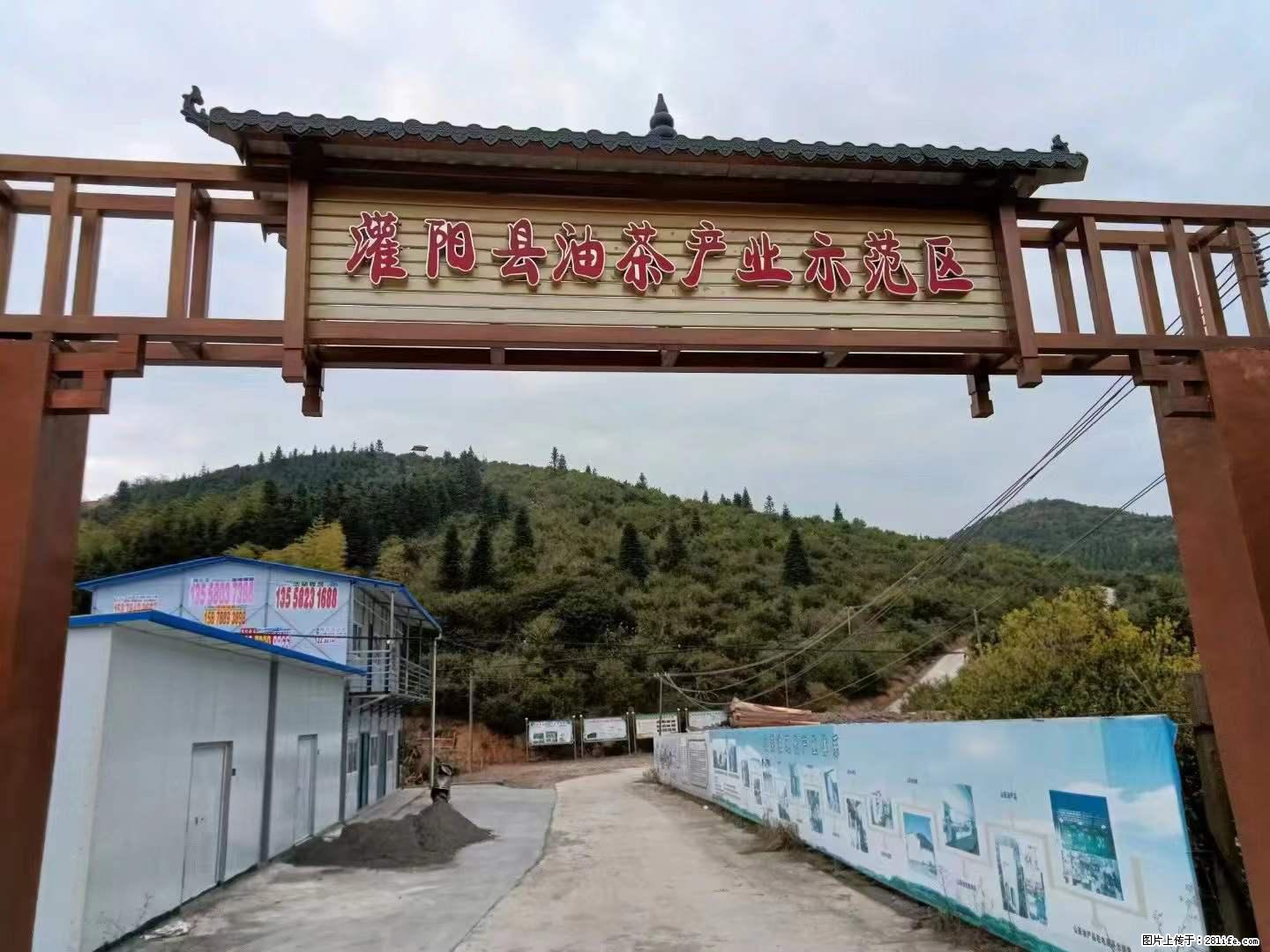 【灌阳县油茶产业示范区】一个有着充实的精神生活的人，对待身外之物自会有一种淡泊的态度 - 美食天地 - 中卫生活社区 - 中卫28生活网 zw.28life.net