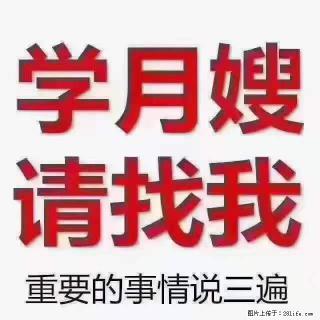 为什么要学习月嫂，育婴师？ - 中卫28生活网 zw.28life.net
