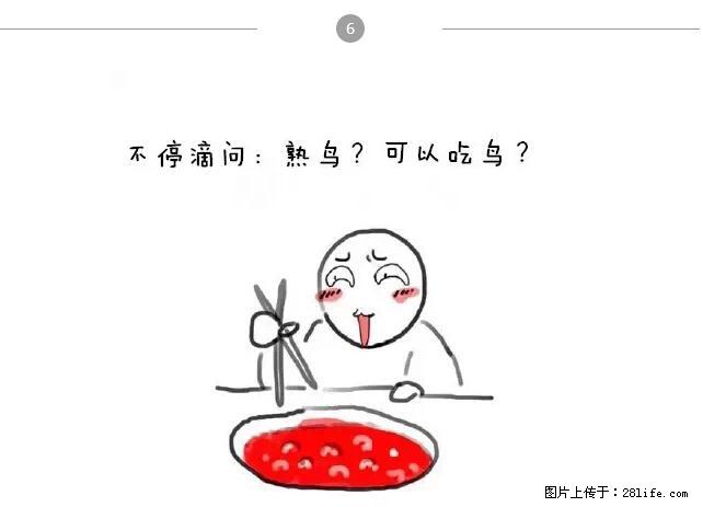千万不要和这9种哈卵一起吃火锅！ - 美食天地 - 中卫生活社区 - 中卫28生活网 zw.28life.net