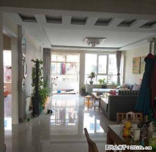 紫荆花城，精品房屋出租 - 中卫28生活网 zw.28life.net