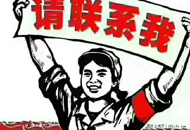 蔡桥新村，两室两厅一卫， - 房屋出租 - 房屋租售 - 中卫分类信息 - 中卫28生活网 zw.28life.net