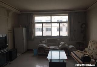 沙坡头西街供电局家 3室2厅124平米 中等装修 年付 - 中卫28生活网 zw.28life.net