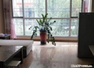 可长期出租，可长期出租 - 中卫28生活网 zw.28life.net