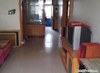 中山小区 精装 拎包入住 - 中卫28生活网 zw.28life.net