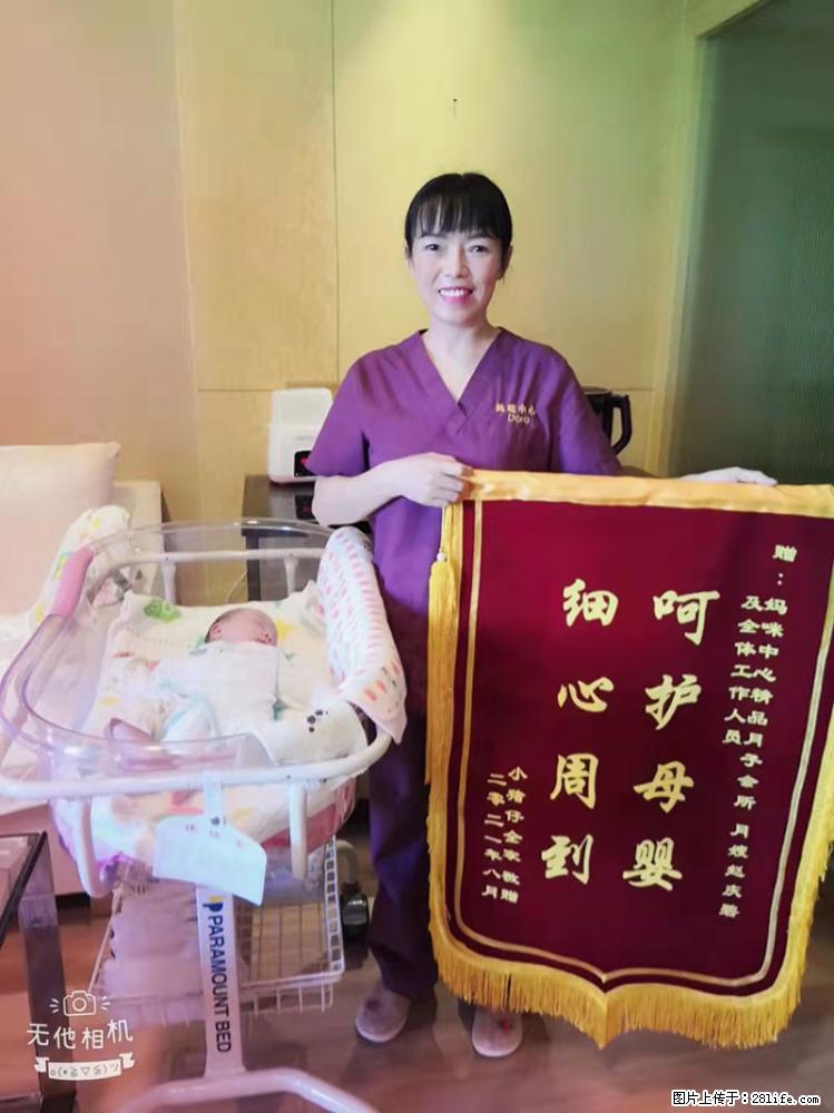 上海高端月子会所招新手月嫂，零基础带教，包吃住 - 职场交流 - 中卫生活社区 - 中卫28生活网 zw.28life.net
