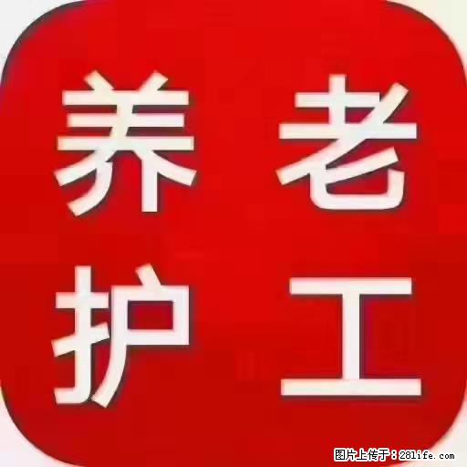 上海国企养老院，星级酒店环境，招聘养老护工 - 职场交流 - 中卫生活社区 - 中卫28生活网 zw.28life.net