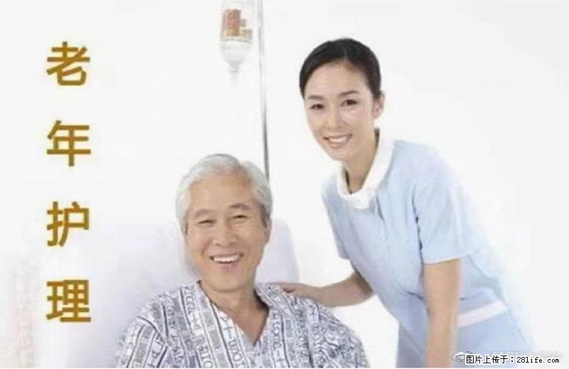上海国企养老院，星级酒店环境，招聘养老护工 - 职场交流 - 中卫生活社区 - 中卫28生活网 zw.28life.net