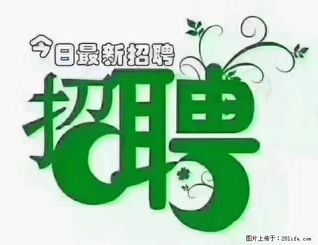 【招聘摄像师】待遇：试用期6000元/月，转正7000元/月+五险一金+餐补+节日福利+奖金 - 职场交流 - 中卫生活社区 - 中卫28生活网 zw.28life.net
