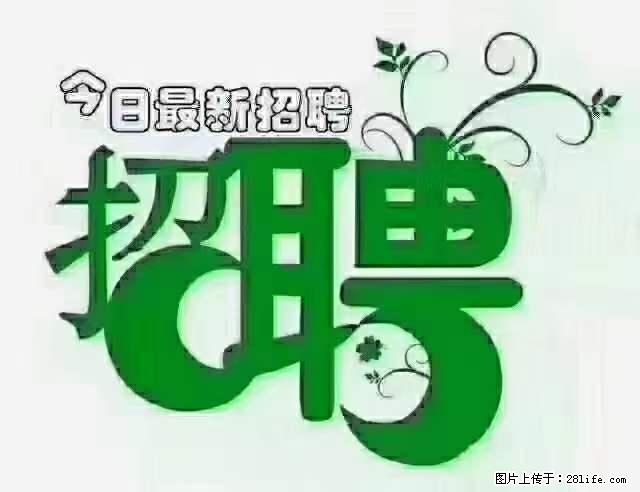 上海隔离酒店招人：55岁以下 男女不限 - 职场交流 - 中卫生活社区 - 中卫28生活网 zw.28life.net