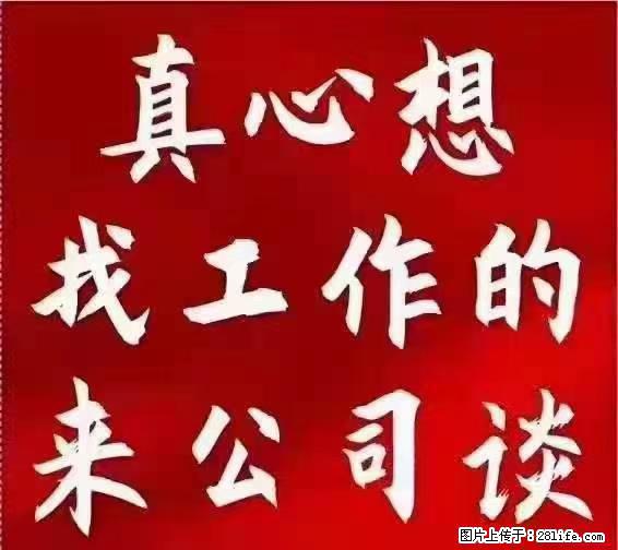 【上海】国企，医院招两名男保安，55岁以下，身高1.7米以上，无犯罪记录不良嗜好 - 职场交流 - 中卫生活社区 - 中卫28生活网 zw.28life.net