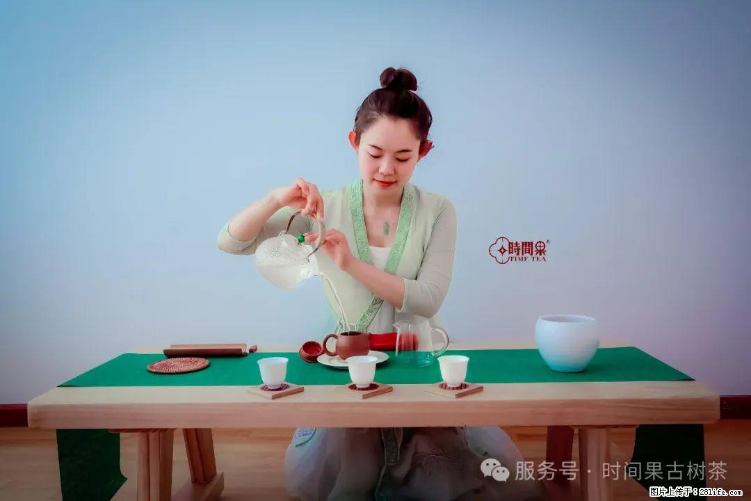 时间果百年古树龙珠普洱生茶 - 购物交流 - 中卫生活社区 - 中卫28生活网 zw.28life.net