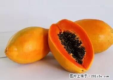 晕车、脚气、牙齿变黄、皮肤粗糙？学会这些三分钟搞定！ - 中卫生活资讯 - 中卫28生活网 zw.28life.net