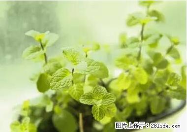 晕车、脚气、牙齿变黄、皮肤粗糙？学会这些三分钟搞定！ - 中卫生活资讯 - 中卫28生活网 zw.28life.net