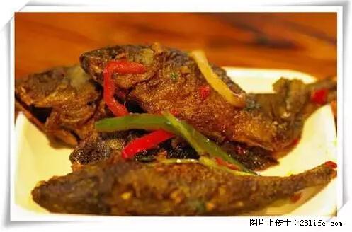 来广西旅游必吃这20道桂菜，不然就白来广西啦！ - 中卫生活资讯 - 中卫28生活网 zw.28life.net