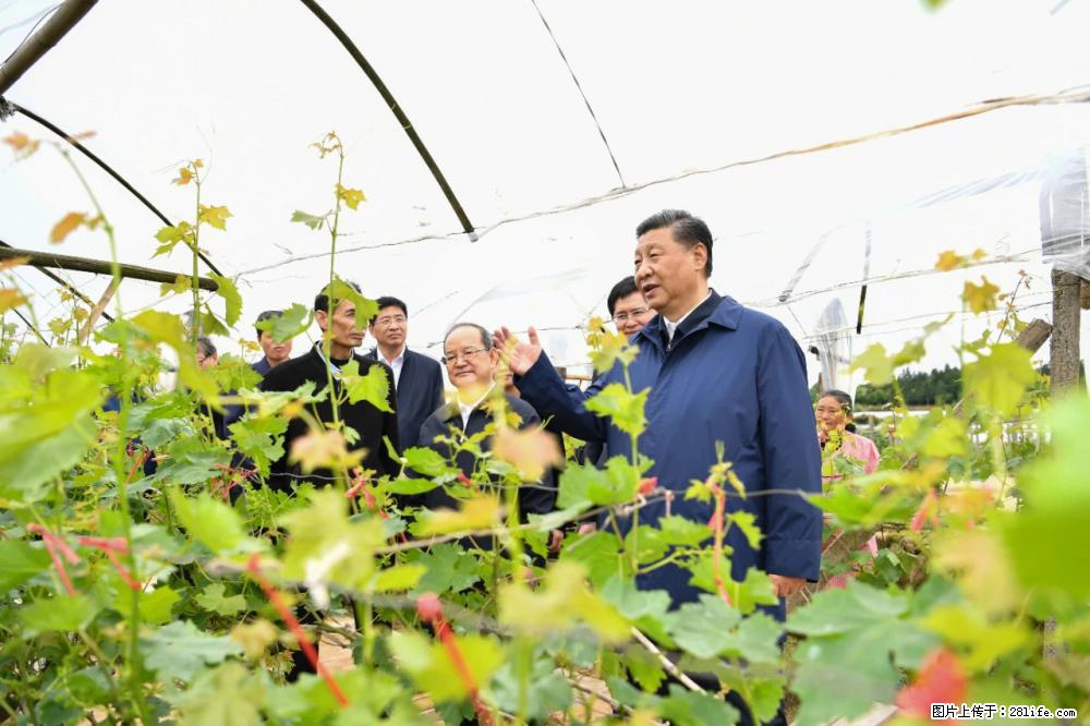 习近平赴广西考察调研 - 中卫生活资讯 - 中卫28生活网 zw.28life.net