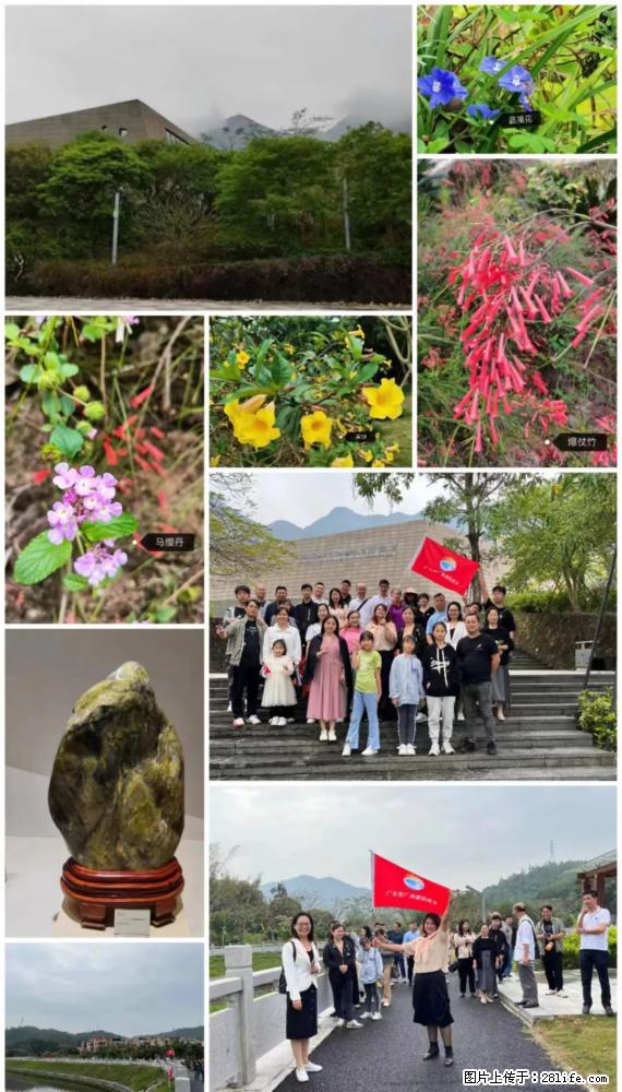 “粤灌文化 美好生活”油茶文化主题活动在广东深圳成功举办 - 中卫生活资讯 - 中卫28生活网 zw.28life.net