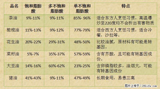 揭秘茶油的5大核心营养成分！被称为人体健康的“守护盾”！ - 中卫生活资讯 - 中卫28生活网 zw.28life.net