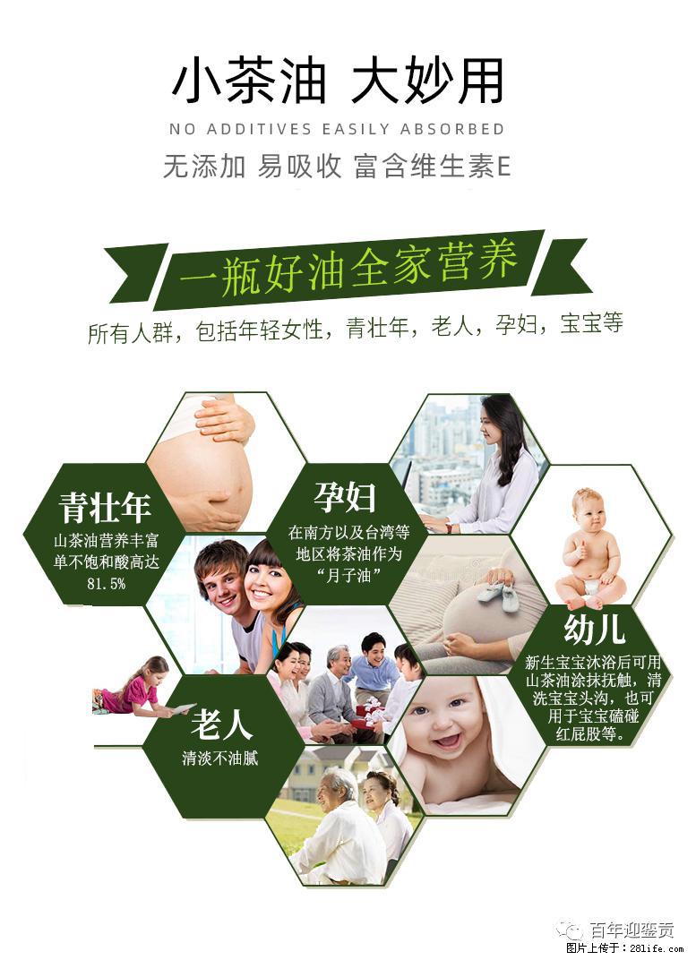 世界没有真相，只有认知，最好的食用油是中国的山茶油！ - 中卫生活资讯 - 中卫28生活网 zw.28life.net