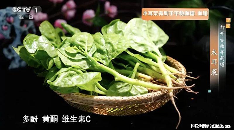 比牛奶补钙还厉害！凉血解毒、稳血糖...这菜冬天必吃，很多人却当草 - 中卫生活资讯 - 中卫28生活网 zw.28life.net