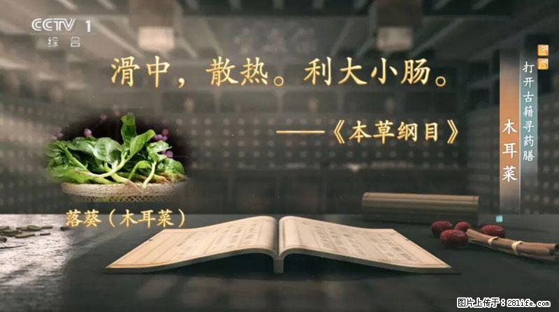 比牛奶补钙还厉害！凉血解毒、稳血糖...这菜冬天必吃，很多人却当草 - 中卫生活资讯 - 中卫28生活网 zw.28life.net