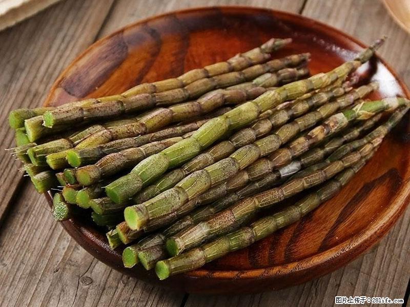 铁皮石斛的作用与功能主治 - 中卫生活资讯 - 中卫28生活网 zw.28life.net