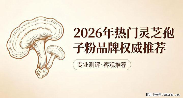 灵芝孢子粉含量越高越有效？2026 年七款热门品牌深度实测，肠胃敏感者避坑指南 - 中卫生活资讯 - 中卫28生活网 zw.28life.net