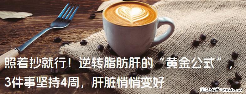 照着抄就行！逆转脂肪肝的“黄金公式”，3件事坚持4周，肝脏悄悄变好 - 中卫生活资讯 - 中卫28生活网 zw.28life.net